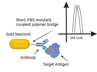 SPR shifting aon a gold nanorod due to analyte binding changing the index of refraction